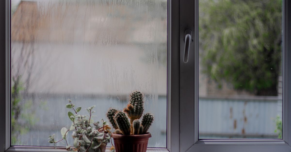 The Importance of Proper Ventilation for Double Glazing Longevity