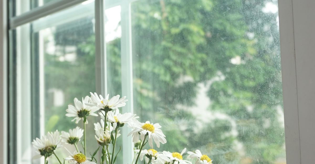 Understanding the Impact of Broken Seals on Energy Efficiency